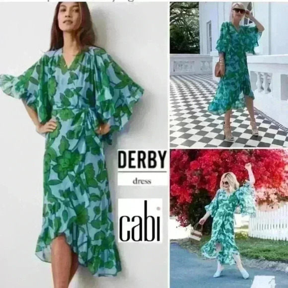 Cabi Derby Dress EUC - Picture 12 of 12